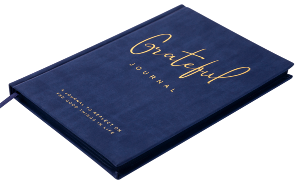 Блокнот діловий Buromax Grateful А5, 96 аркушів, в крапку, обкладинка штучна шкіра, синій (BM.295319-02) - Pampik - 3