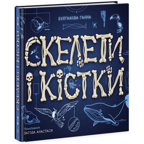 Енциклопедія з віконцями Ранок Скелети і кістки - Булгакова Ганна (N969002У) - Pampik