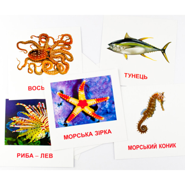 Карточки мини Зірка Морские жители 11х11 см (286286) - Pampik - 2