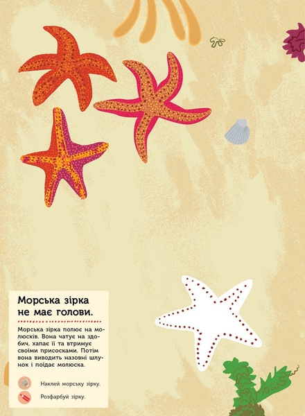 Моя книга природи Ранок На березі моря - Олівія Косно (С849006У) - Pampik - 6