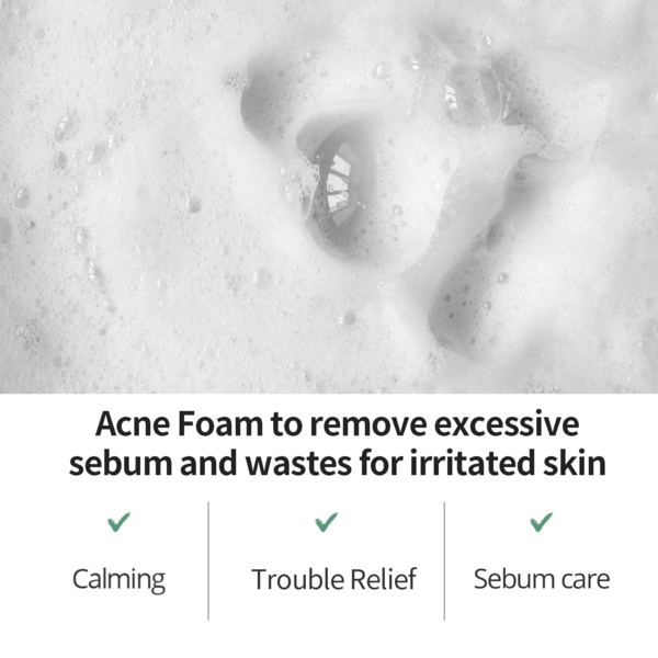 Пенка для умывания FarmStay Tea Tree Biome Calming Acne Foam 180 мл - Pampik - 5