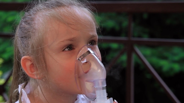 Компрессорный ингалятор Vega VN 420 - Pampik - 8