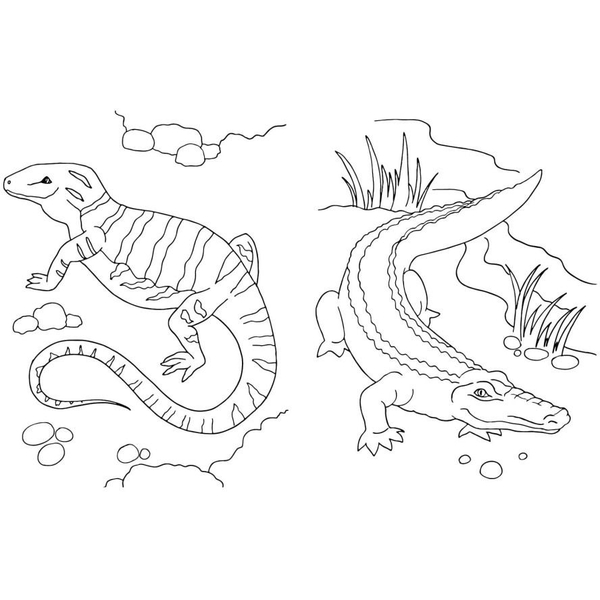 Раскраска Видавництво Ранок Большая книга раскрасок Животные (С1736002У) - Pampik - 5