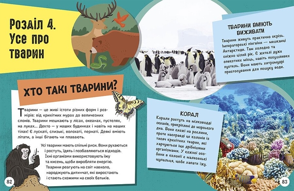 Енциклопедія юних розумників Ранок Допитливим сюди. ДОВКОЛАПИТАНЬ - Ненсі Дікман (НЕ1745007У) - Pampik - 9