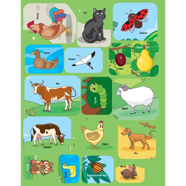 Наліпки для допитливих. Тваринки у селі - Ольга Шевченко (1475277) - Pampik - 7