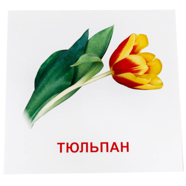 Карточки мини Зірка Квіти 11х11 см - Pampik - 5