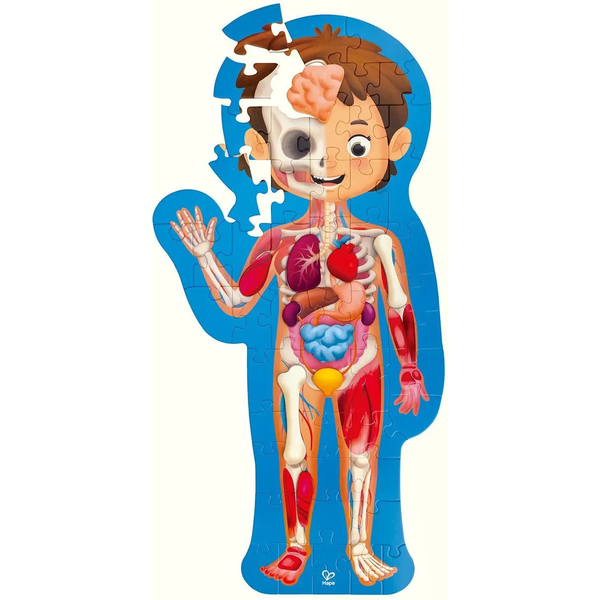 Пазл Hape Тіло людини 60 елементів (E1635) - Pampik - 2