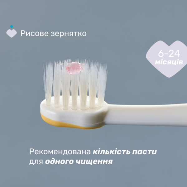 Зубна щітка Chicco для перших зубів, 6-36 міс., 2 шт., блакитна з жовтим - Pampik - 4