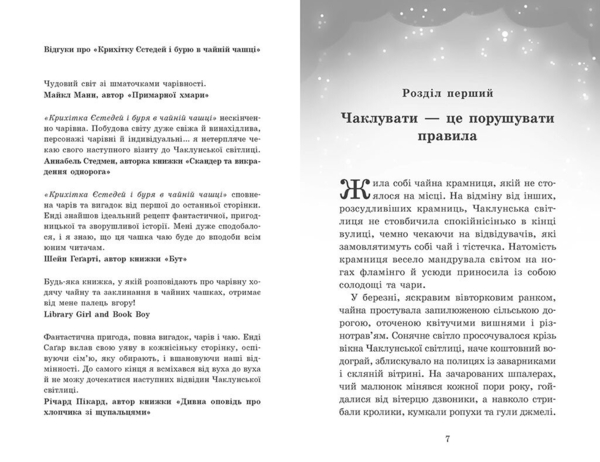 Крихітка Єстедей і чайник хаосу. Книга 2 - Енді Саґар (Ч1702002У) - Pampik - 5