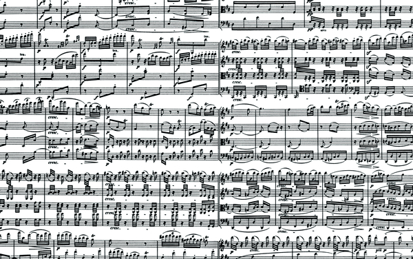 Пазл Piatnik Музыкальные ноты, 1000 элементов (PT-543449) - Pampik - 2