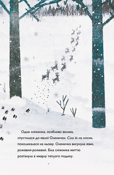 Оленичка і Малинівка - Роза Бейлі (Z104145У) - Pampik - 4