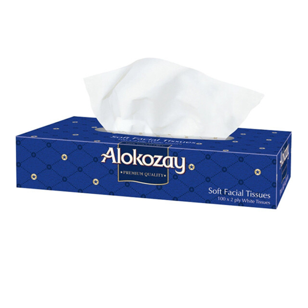 Салфетки Alokozay бумажные двухслойные, 100 шт. - Pampik - 3