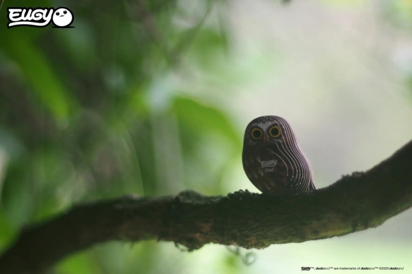 Сборная 3Д модель Eugy Зоопарк Сова (XEG-044) - Pampik - 10