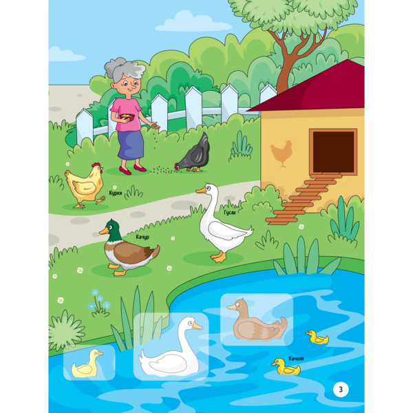 Наліпки для допитливих. Тваринки у селі - Ольга Шевченко (1475277) - Pampik - 4