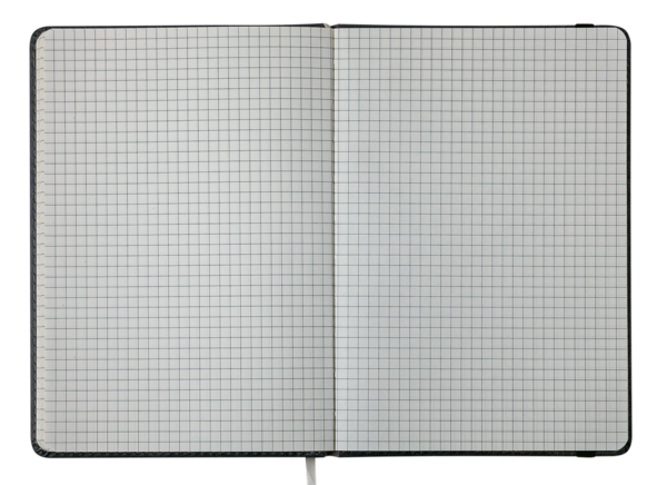Блокнот деловой Buromax Logo2U Record А5 96 л. в клеточку обложка искусственная кожа серый (BM.295110-09) - Pampik - 3
