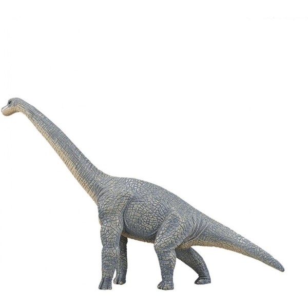 Ігрова фігурка Mojo Брахіозавр (387044) - Pampik - 6
