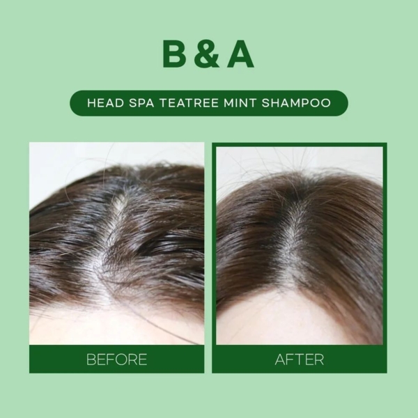 Шампунь Esthetic House CP-1 Tea Tree Mint Shampoo с чайным деревом и мятой, 500 мл - Pampik - 2