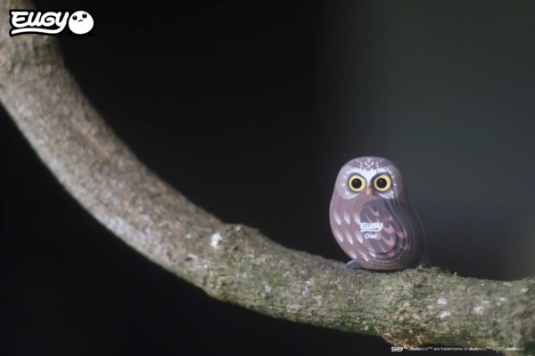 Сборная 3Д модель Eugy Зоопарк Сова (XEG-044) - Pampik - 8