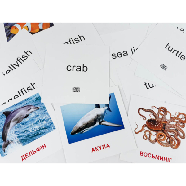 Карточки мини Зірка Морские жители 11х11 см (286286) - Pampik - 3