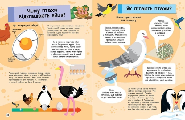 Велика енциклопедія для чомусика - Ганна Булгакова (N901723У) - Pampik - 3