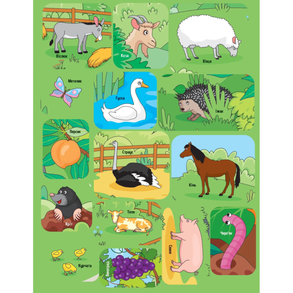 Наліпки для допитливих. Тваринки у селі - Ольга Шевченко (1475277) - Pampik - 8