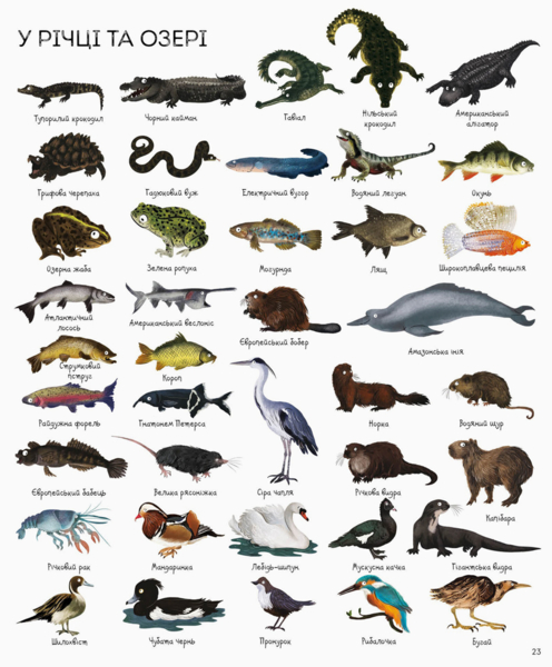 1000 назв тварин - Джесіка Грінвел, Ніккі Дайсон (Z104006У) - Pampik - 3