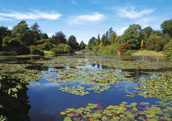 Пазл Piatnik Тихий пруд, 1000 элементов (PT-558443) - Pampik - 2