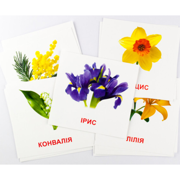 Карточки мини Зірка Квіти 11х11 см - Pampik - 2