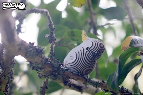 Збірна 3Д модель Eugy Зоопарк Папуга Какаду (XEG-028) - Pampik - 10