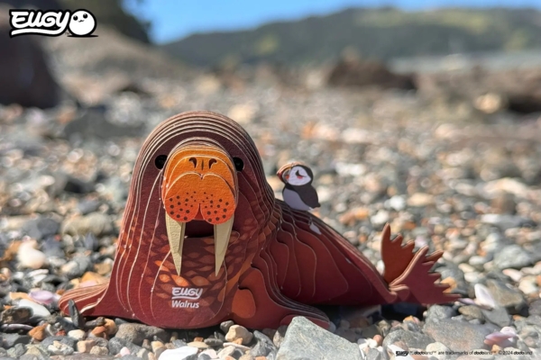 Сборная 3Д модель Eugy Зоопарк Морж (XEG-107) - Pampik - 7