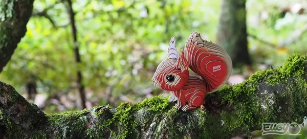 Сборная 3Д модель Eugy Зоопарк Белка (XEG-083) - Pampik - 11