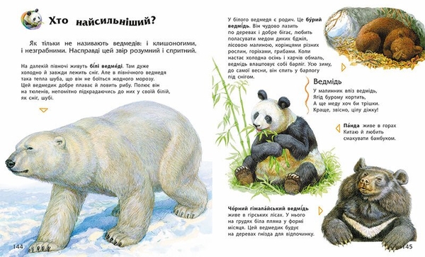 Енциклопедія дошкільника Ранок - Юлія Каспарова (С902133У) - Pampik - 2