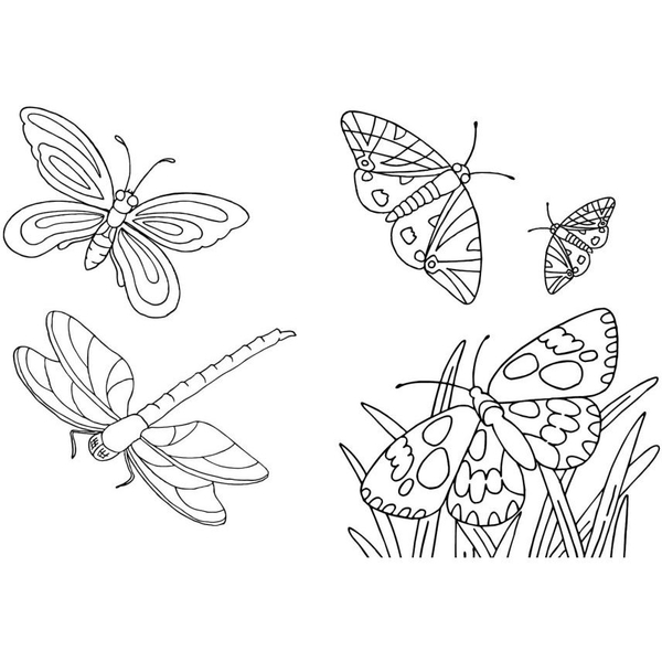 Раскраска Видавництво Ранок Большая книга раскрасок Животные (С1736002У) - Pampik - 3