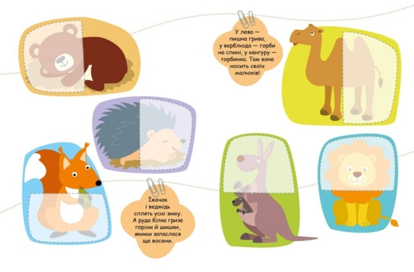 Шукаємо половинки. Тварини - Алена Пуляева (С1700002У) - Pampik - 3