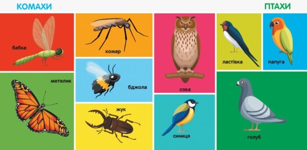 Смарт-книги. 100 перших слів - Катерина Трофимова (С944002У) - Pampik - 3