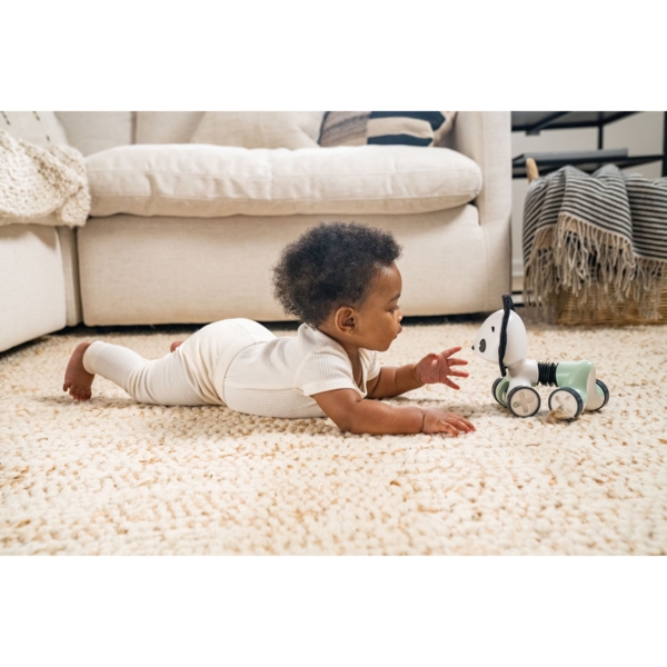 Іграшка каталка Tiny Love Левеня Джордж (1506000458) - Pampik - 15