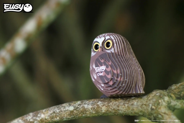 Сборная 3Д модель Eugy Зоопарк Сова (XEG-044) - Pampik - 7