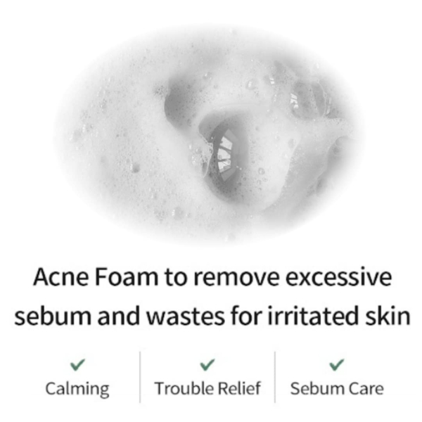 Пенка для умывания FarmStay Tea Tree Biome Low pH Calming Clean 180 мл - Pampik - 2