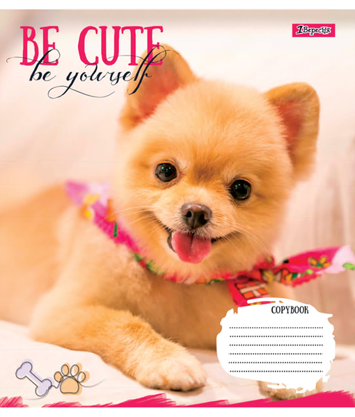 Набір зошитів 1 Вересня Be cute А5 в лінійку 18 аркушів 25 шт. (766978) - Pampik - 4