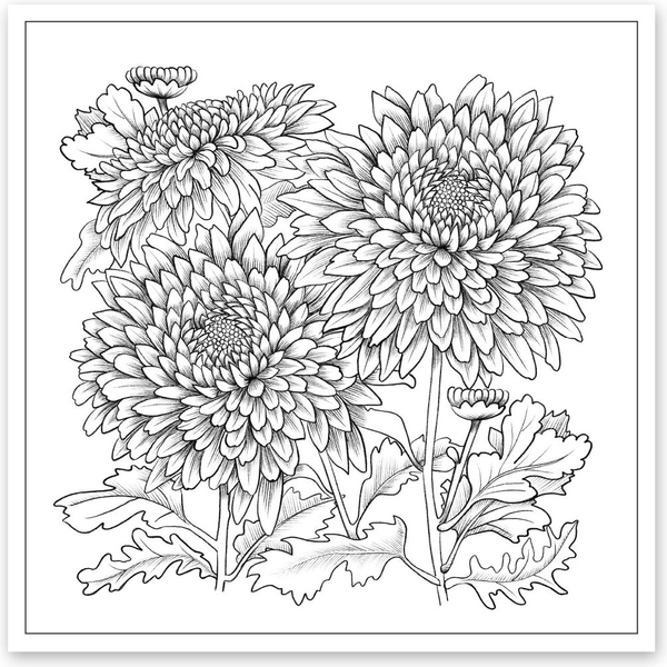 Розмальовка антистрес Santi Квітотерапія 20 сторінок (742921) - Pampik - 2