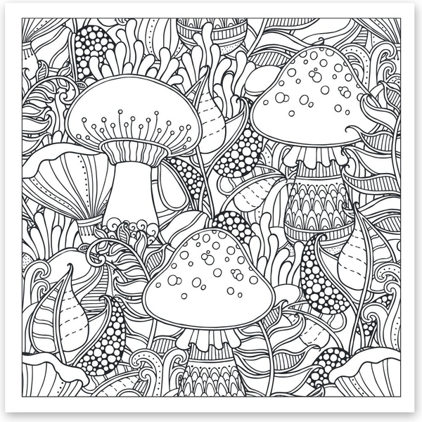 Розмальовка антистрес Santi Дивовижний ліс 20 сторінок (742912) - Pampik - 2