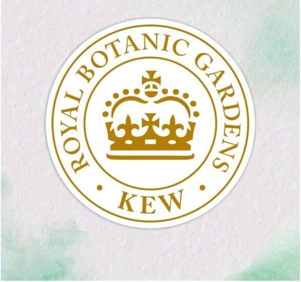 Бальзам-ополіскувач Herbal Essences Зволоження Алое, 250 мл - Pampik - 3