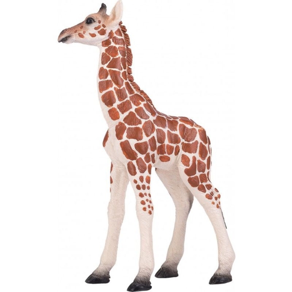 Игровая фигурка Mojo Детеныш жирафа (381034) - Pampik - 2