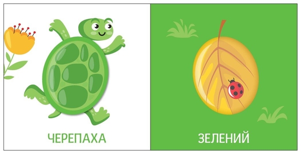 Книга Ранок Яскравий світ. Кольори (А1708001У) - Pampik - 4