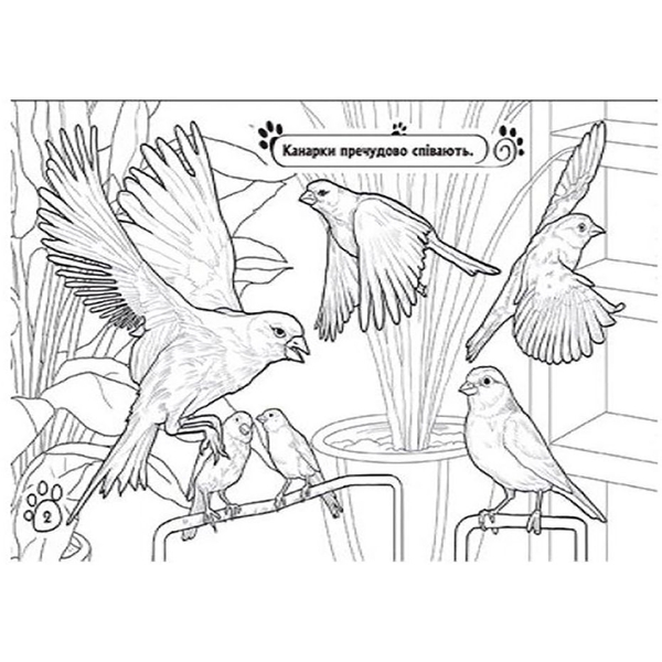 Книга розмальовка Видавництво Ранок Тварини в оселі (А583006У) - Pampik - 4