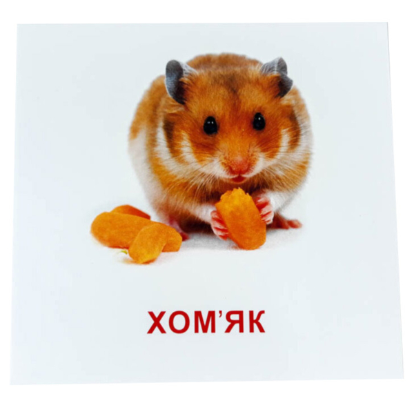 Картки міні Зірка Домашні тварини 11х11 см (286283) - Pampik - 4