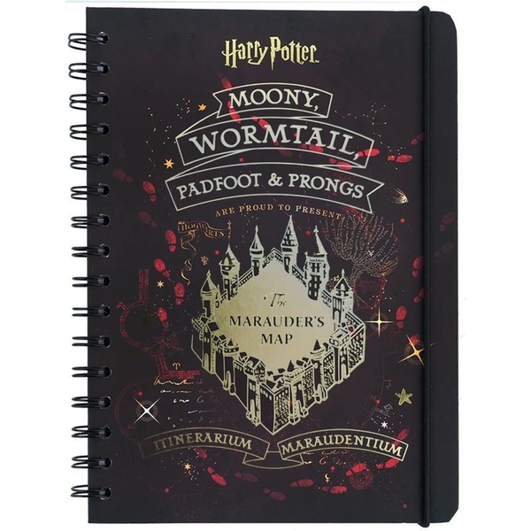 Блокнот Kite Harry Potter A5 в клетку 80 листов (HP24-190) - Pampik
