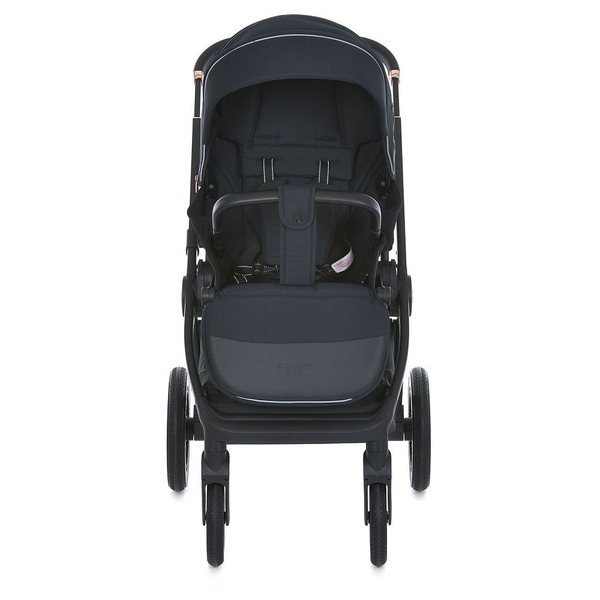 Коляска универсальная 2 в 1 El Camino ERA ME 1100 Black Night (26303) - Pampik - 2