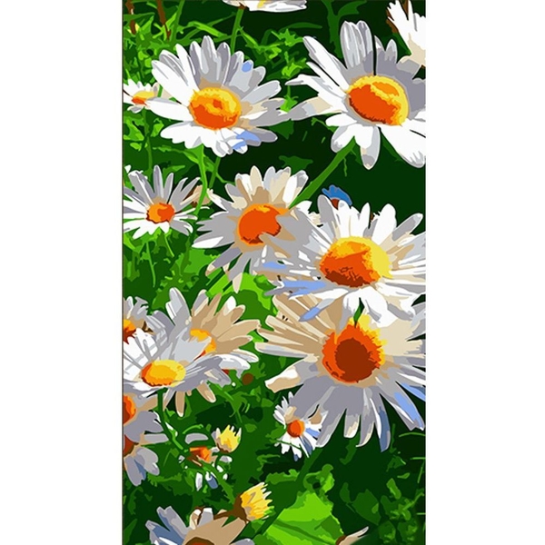 Набір для розпису по номерах Strateg Білосніжні ромашки 50х25 см (WW170) - Pampik