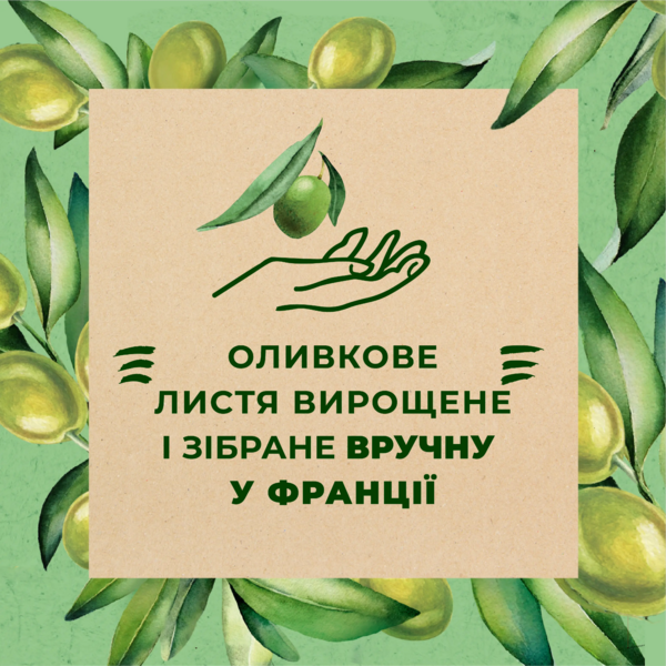 Гель для душа Le Petit Marseillais® БІО Листя Оливи, 250 мл - Pampik - 3